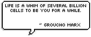 Life is a whim of several billion cells to be you for a while. ~ Groucho Marx