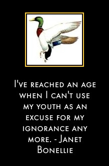 I've reached an age when I can't use my youth as an excuse for my ignorance any more. - Janet Bonellie