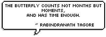 The butterfly counts not months but moments, 
and has time enough.  ~ Rabindranath Tagore